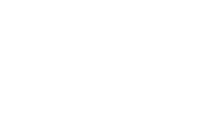 Deník